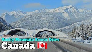 Canada Rocky Mountain Scenic Drive 4k | Banff National Park #canada #alberta #driving