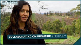 Collaborating on Bushfire Recovery