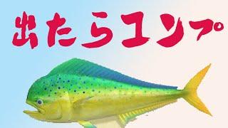 【あつ森】シイラが出たら魚図鑑コンプ！出るまで終われま10