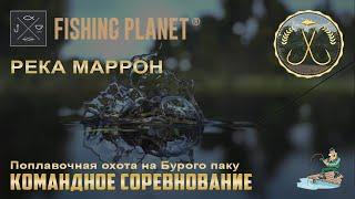 Fishing Planet - Река Маррон | Спонсируемое командное соревнование. | Охота на Бурого паку.