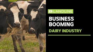 Australia's dairy industry is booming | Landline | ABC News