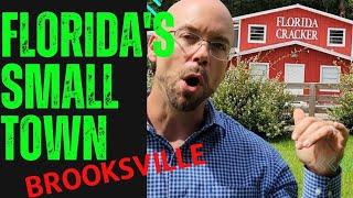 Why Brooksville Florida? One of the best places to live in the state and here's why️