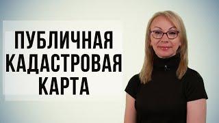 Возможности публичной кадастровой карты