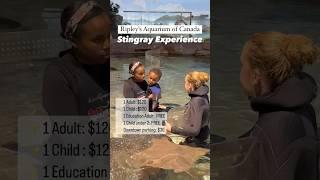 Would you try the Stingray experience? #stingray #ripleysaquarium #toronto