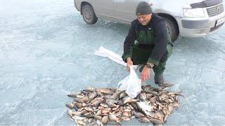 ПОПАЛИ НА ЖОР КАРАСЯ!рыбалка на карася весной!ловля карася на удочку