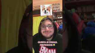 E TU CHE CANE SEI?