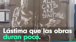 ALTA CREATIVIDAD ARTÍSTICA EN LA MUGRE DE LOS VEHÍCULOS RUSOS