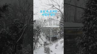 서울 도심 속 숨겨진 숲속 쉼터 #겨울여행