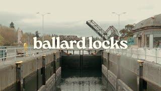 enjoying a rainy afternoon at ballard locks in seattle