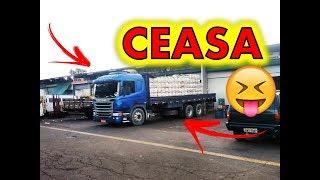 CARREGUEI FRUTA PRO CEASA! Botando Pressão no Scania #Saveiro do Rau