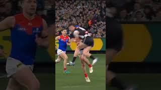 Collingwood’s defence of Brayden Maynard at the Tribunal