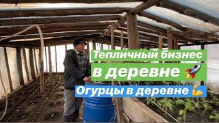Тепличный бизнес в деревне/Сельский бизнес/Теплица в деревне