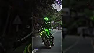 the.  Bengal. #   Rider   first video 