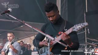 Brutal Assault 21 - Animals As Leaders (live) 2016