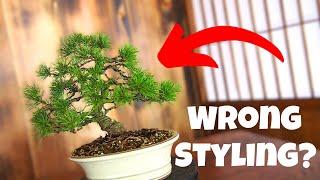 8 Can't-Miss Pitfalls About Pine Bonsai Styling