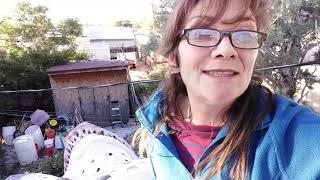 Up On The Roof of the Head Hutt Megasculpture #ATV, #AngelsAdventures #OnMyWayToPlay