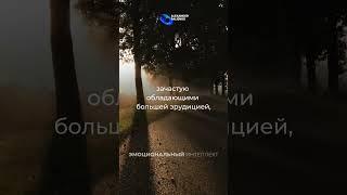 Эмоциональный интеллект. Александр Палиенко
