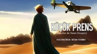 KÜÇÜK PRENS | Antoine De Saint Exupery  (Sesli Roman)