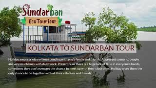 Sundarban launch tour