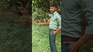 Saurabh Kumar Fans ️‍🩹
