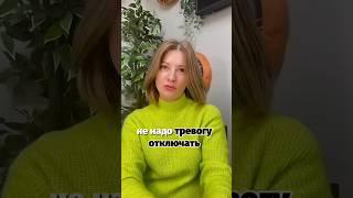 Официальный ютуб канал - ссылка в описании #квантовоесознание #отношения #исцеление