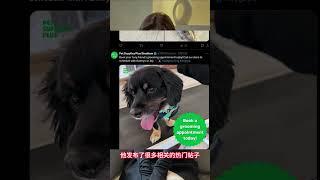 twitter群发软件：降低企业数字化转型门槛。#twitter群发 #twitter群发系统 #twitter营销系统