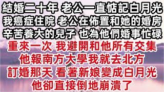 結婚二十年 老公心裏一直惦記白月光 我癌症住進院 老公卻在佈置和白月光的婚房 辛苦養大的兒子也為他們婚事忙碌 重來一次 我避開和他所有交集 他報南方大學我就去北方 訂婚那天 看著新娘變成白月光他瘋了