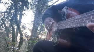 Dawn chorus and a D-rone tuned bass