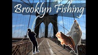 Fishing in Brooklyn (ft. Stox B.) - A fish every fifteen minutes!