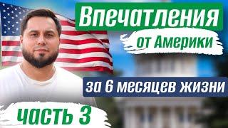 Впечатления от США: налоги, криминал в Сакраменто, бездомные, продукты питания, природа и животные