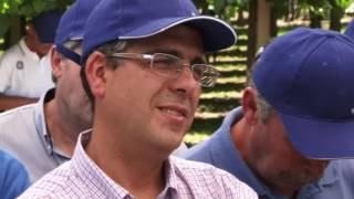 Syngenta presenta as súas novidades ao sector - Canal Rías Baixas
