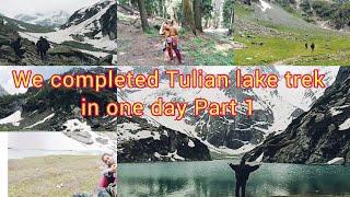 We completed the Tulian lake trek in one day! | Part 1 #tulianlake #pahalgam #nomadz