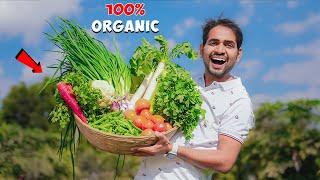 We Grow Organic Fruits And Vegetables - 100% Healthy