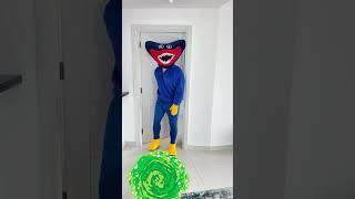 domino Best Funny Videos domino filmes Best TikTok May 2023 NO 122