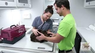 Tour Charleston Animal Society