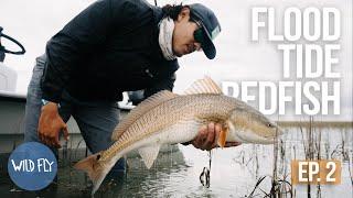 SOUTH CAROLINA REDFISH | EBBS & FLOWS EP. 2