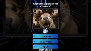 Animal quiz time | gk question | gk quiz #shorts #animalquiz