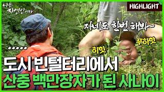 꽁꽁 숨겨진 청정 산골 그 속에 묻혀 사는 무공해 산 사나이｜자연인 하이라이트 149회