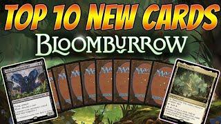 The Top 10 Cards From Bloomburrow