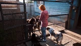 Прямая трансляция пользователя Лаборатория Социального Развития