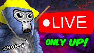 Only Up In GORILLA TAG! (Playing With YOU)