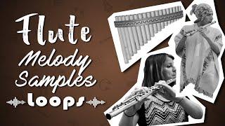 Flute Melody Loops Vol. 1 | Sample Pack Royalty-Free | Flute, Wind, Exotic | Dani Productions