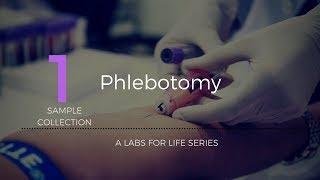 Phlebotomy