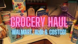 WALMART, ALDI & COSTCO GROCERY HAUL || COLLAB W/ FELICIA FAITH  || MNFARMWIFE