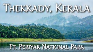 TOP THINGS TO DO IN THEKKADY │ KERALA │ THEKKADY TOURIST PLACES │ PERIYAR TIGER RESERVE