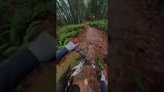 Epic Downhill Trail in a rain forrest!  #downhillbiking #mtb #gopro