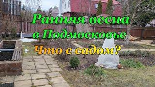 Сад ранней весной в Подмосковье. Что я делаю #блогпродом #дача