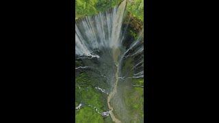 Escape to Serenity: 4K Nature Scenes