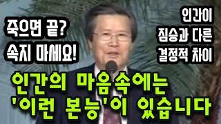 인간의 마음속에는 '이런 본능'이 있습니다. 죽으면 끝? 속지 마세요! 인간이 짐승과 다른 결정적 차이.