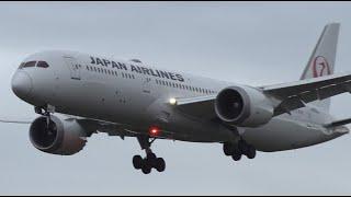 JAL Boeing 787-9 JA865J Landing at NRT 34L